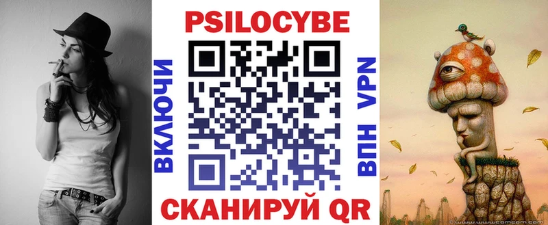 KRAKEN ССЫЛКА Катайск Галлюциногенные грибы Psilocybine cubensis
